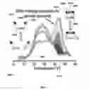 Fig. 02 - Thermally resolved molecule assays