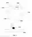 Fig. 06 - Thermally resolved molecule assays