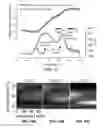 Fig. 11 - Thermally resolved molecule assays