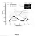 Fig. 19 - Thermally resolved molecule assays