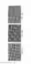 Fig. 20 - High performance quartz crystal microbalance enhanced by microstructures for biological applications