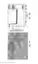 Fig. 27 - High performance quartz crystal microbalance enhanced by microstructures for biological applications