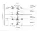 Fig. 07 - Separation and Analysis Systems and Methods