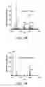 Fig. 37 - Ion generation using modified wetted porous materials