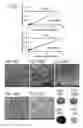 Fig. 86 - Ion generation using modified wetted porous materials