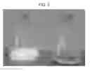 Fig. 09 - METHODS OF EVALUATING CELL CULTURE ADDITIVES