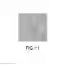 Fig. 15 - System and method for high-throughput assessment of cellular cardiotoxicity, drug screening, and cardiogenic factors via online physiological measurements