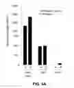 Fig. 05 - Immunity to folate receptors