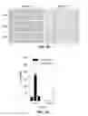 Fig. 07 - Immunity to folate receptors