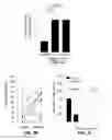 Fig. 09 - Immunity to folate receptors