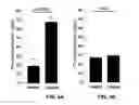 Fig. 10 - Immunity to folate receptors