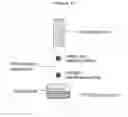 Fig. 02 - Method for detection of protein comprising histidine-tag using immunochromatography