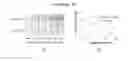 Fig. 05 - Method for detection of protein comprising histidine-tag using immunochromatography