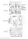 Fig. 06 - Detection and treatment of autoimmune disorders