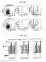 Fig. 07 - Detection and treatment of autoimmune disorders