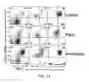 Fig. 20 - Detection and treatment of autoimmune disorders