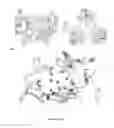 Fig. 04 - Microbial glycans as a target of human intelectin