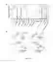 Fig. 13 - Microbial glycans as a target of human intelectin