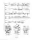 Fig. 14 - Microbial glycans as a target of human intelectin