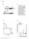 Fig. 03 - Gamma-Secretase Substrates and Methods of Use