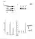 Fig. 08 - Gamma-Secretase Substrates and Methods of Use
