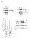 Fig. 09 - Gamma-Secretase Substrates and Methods of Use