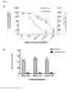 Fig. 20 - Gamma-Secretase Substrates and Methods of Use