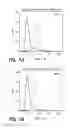 Fig. 02 - BCMA-BASED STRATIFICATION AND THERAPY FOR MULTIPLE MYELOMA PATIENTS