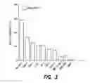 Fig. 06 - BCMA-BASED STRATIFICATION AND THERAPY FOR MULTIPLE MYELOMA PATIENTS