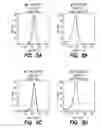 Fig. 08 - BCMA-BASED STRATIFICATION AND THERAPY FOR MULTIPLE MYELOMA PATIENTS
