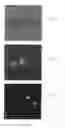 Fig. 14 - METHOD AND KIT FOR ASSESSING VIABLE CELLS