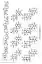 Fig. 33 - Fluorinated polymer dots