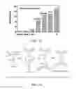 Fig. 10 - Materials and methods for rapid and specific detection of cocaine