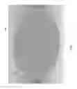 Fig. 02 - ASSEMBLING DEVICES FOR PROBE CARD TESTING