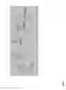 Fig. 11 - Pulse sequences for low field magnetic resonance
