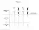 Fig. 04 - Ultrasonic diagnostic apparatus and method of controlling the same