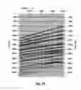 Fig. 19 - Method for processing borehole seismic data