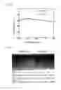Fig. 11 - Antireflection member, transfer member, and method for producing antireflection member