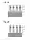Fig. 16 - Polarizing plate having absorption layer comprising only tantalum and niobium