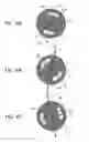Fig. 05 - Structured illumination device and structured illumination microscope device