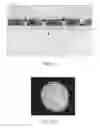 Fig. 10 - Universal polarization converter