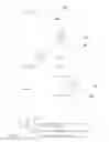 Fig. 05 - FLUORESCENT PARTICLES FOR ELECTROPHORETIC DISPLAYS