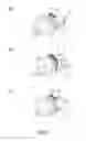 Fig. 10 - Developer supply container and image forming apparatus
