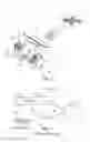 Fig. 02 - Long-range drone remote-control equipment