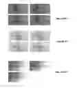 Fig. 10 - Viscoelastic fluid drop production