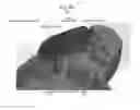 Fig. 08 - Haptic controller