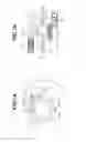 Fig. 08 - PHOTOGRAPHING APPARATUS AND OPERATION CONTROL METHOD FOR THE SAME