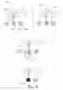 Fig. 05 - Push-pull type gestures