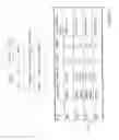 Fig. 18 - Systems and methods for transformation of logical data objects for storage