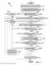 Fig. 03 - Copyright infringement prevention